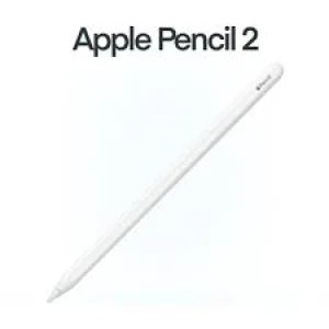 Apple Pencil (2nd generation)